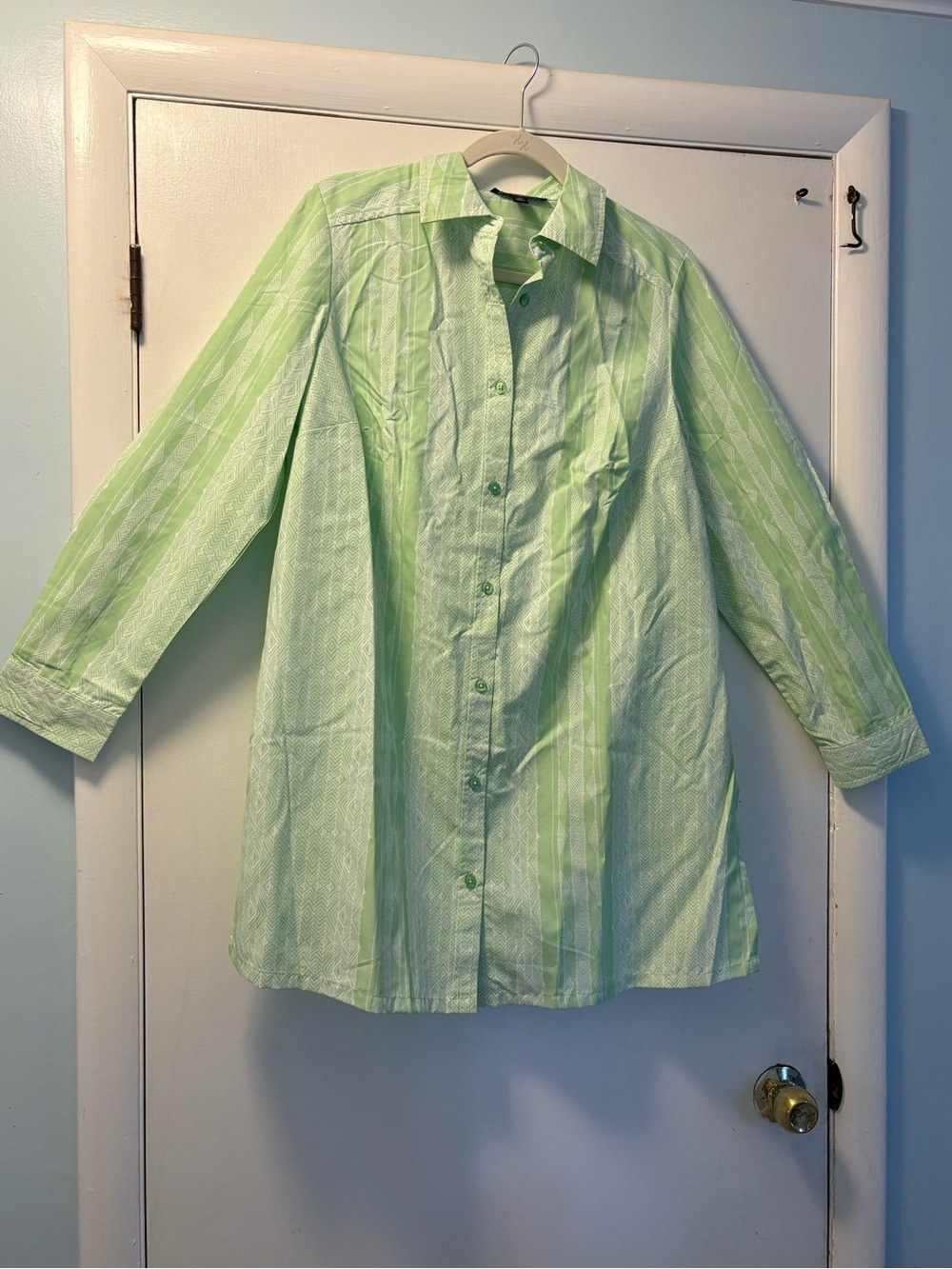 Roaman's Light Green Button-Down Tunic Shirt